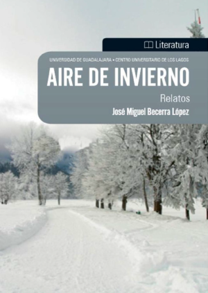 Aire de invierno